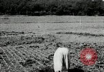 Image of Korean farmers spread manure Korea, 1936, second 23 stock footage video 65675028847