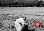 Image of Korean farmers spread manure Korea, 1936, second 24 stock footage video 65675028847