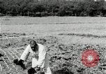 Image of Korean farmers spread manure Korea, 1936, second 25 stock footage video 65675028847