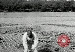 Image of Korean farmers spread manure Korea, 1936, second 26 stock footage video 65675028847
