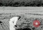 Image of Korean farmers spread manure Korea, 1936, second 27 stock footage video 65675028847