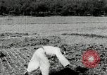 Image of Korean farmers spread manure Korea, 1936, second 28 stock footage video 65675028847