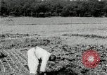 Image of Korean farmers spread manure Korea, 1936, second 29 stock footage video 65675028847