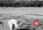 Image of Korean farmers spread manure Korea, 1936, second 31 stock footage video 65675028847