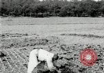 Image of Korean farmers spread manure Korea, 1936, second 32 stock footage video 65675028847
