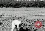 Image of Korean farmers spread manure Korea, 1936, second 33 stock footage video 65675028847