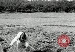 Image of Korean farmers spread manure Korea, 1936, second 34 stock footage video 65675028847