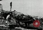 Image of Korean farmer with his bull makes way to home Korea, 1936, second 29 stock footage video 65675028848