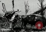 Image of Korean farmer with his bull makes way to home Korea, 1936, second 32 stock footage video 65675028848