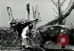 Image of Korean farmer with his bull makes way to home Korea, 1936, second 33 stock footage video 65675028848