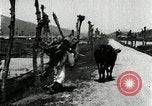 Image of Korean farmer with his bull makes way to home Korea, 1936, second 38 stock footage video 65675028848