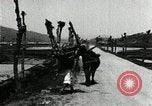 Image of Korean farmer with his bull makes way to home Korea, 1936, second 39 stock footage video 65675028848