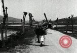 Image of Korean farmer with his bull makes way to home Korea, 1936, second 40 stock footage video 65675028848