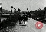 Image of Korean farmer with his bull makes way to home Korea, 1936, second 41 stock footage video 65675028848