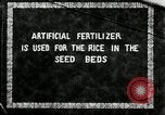Image of Korean farmers plant seedlings Korea, 1936, second 1 stock footage video 65675028849