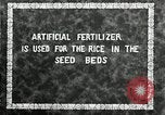 Image of Korean farmers plant seedlings Korea, 1936, second 3 stock footage video 65675028849