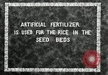 Image of Korean farmers plant seedlings Korea, 1936, second 4 stock footage video 65675028849