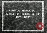 Image of Korean farmers plant seedlings Korea, 1936, second 6 stock footage video 65675028849