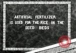 Image of Korean farmers plant seedlings Korea, 1936, second 8 stock footage video 65675028849