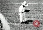 Image of Korean farmers plant seedlings Korea, 1936, second 9 stock footage video 65675028849