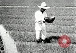 Image of Korean farmers plant seedlings Korea, 1936, second 11 stock footage video 65675028849