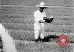 Image of Korean farmers plant seedlings Korea, 1936, second 13 stock footage video 65675028849