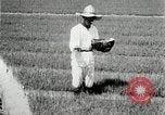 Image of Korean farmers plant seedlings Korea, 1936, second 14 stock footage video 65675028849