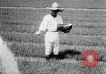 Image of Korean farmers plant seedlings Korea, 1936, second 16 stock footage video 65675028849