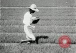 Image of Korean farmers plant seedlings Korea, 1936, second 18 stock footage video 65675028849