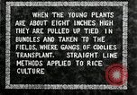 Image of Korean farmers plant seedlings Korea, 1936, second 19 stock footage video 65675028849