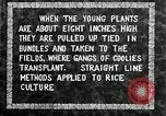 Image of Korean farmers plant seedlings Korea, 1936, second 20 stock footage video 65675028849