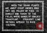 Image of Korean farmers plant seedlings Korea, 1936, second 22 stock footage video 65675028849