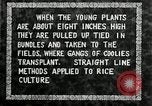 Image of Korean farmers plant seedlings Korea, 1936, second 25 stock footage video 65675028849