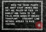 Image of Korean farmers plant seedlings Korea, 1936, second 26 stock footage video 65675028849