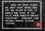 Image of Korean farmers plant seedlings Korea, 1936, second 27 stock footage video 65675028849