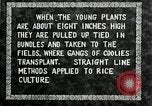 Image of Korean farmers plant seedlings Korea, 1936, second 28 stock footage video 65675028849