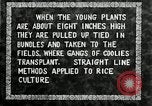 Image of Korean farmers plant seedlings Korea, 1936, second 29 stock footage video 65675028849