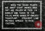 Image of Korean farmers plant seedlings Korea, 1936, second 31 stock footage video 65675028849