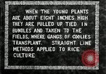 Image of Korean farmers plant seedlings Korea, 1936, second 32 stock footage video 65675028849