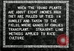 Image of Korean farmers plant seedlings Korea, 1936, second 33 stock footage video 65675028849