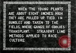 Image of Korean farmers plant seedlings Korea, 1936, second 34 stock footage video 65675028849