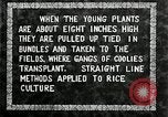 Image of Korean farmers plant seedlings Korea, 1936, second 37 stock footage video 65675028849