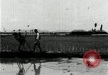 Image of Korean farmers plant seedlings Korea, 1936, second 51 stock footage video 65675028849