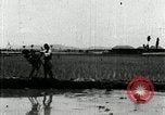 Image of Korean farmers plant seedlings Korea, 1936, second 52 stock footage video 65675028849
