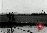 Image of Korean farmers plant seedlings Korea, 1936, second 53 stock footage video 65675028849