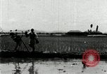 Image of Korean farmers plant seedlings Korea, 1936, second 54 stock footage video 65675028849