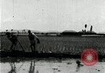 Image of Korean farmers plant seedlings Korea, 1936, second 55 stock footage video 65675028849