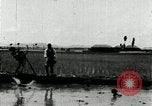 Image of Korean farmers plant seedlings Korea, 1936, second 56 stock footage video 65675028849