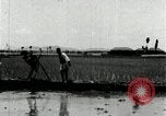 Image of Korean farmers plant seedlings Korea, 1936, second 57 stock footage video 65675028849