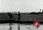 Image of Korean farmers plant seedlings Korea, 1936, second 58 stock footage video 65675028849